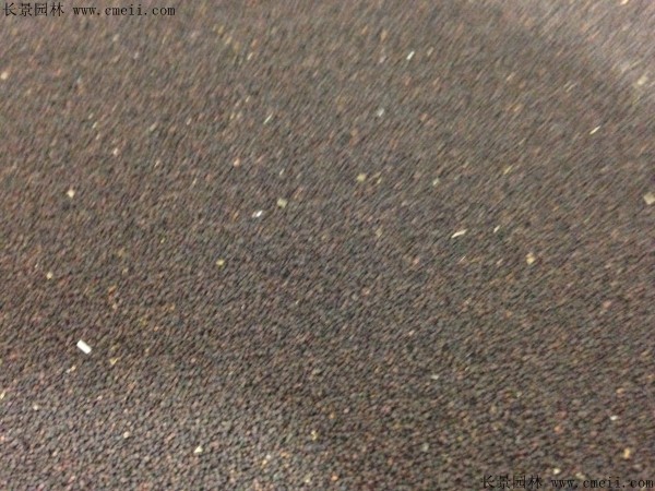 波斯寶石種子圖片 波斯寶石種子圖片